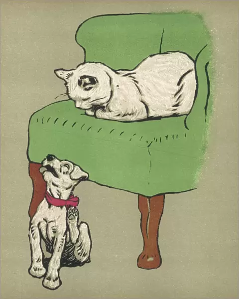 White Puppy and Cat 1909