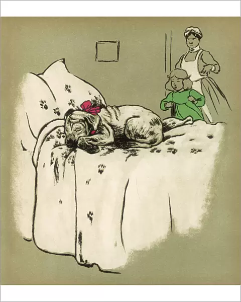 Dirty Dog on Bed 1909