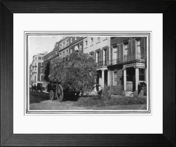 Framed Print : Sickness / Laying of Straw Framed Print : Sickness / Laying of Straw