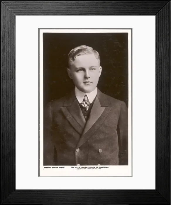 Framed Print : Crown Prince Luis Framed Print : Crown Prince Luis
