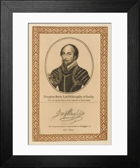 Framed Print : Peregrine Willoughby Framed Print : Peregrine Willoughby