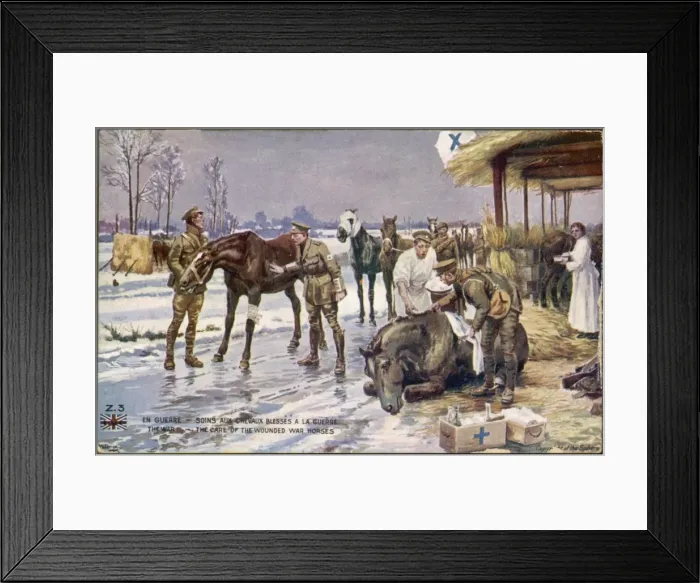 Framed Print : Wounded War-Horses Framed Print : Wounded War-Horses