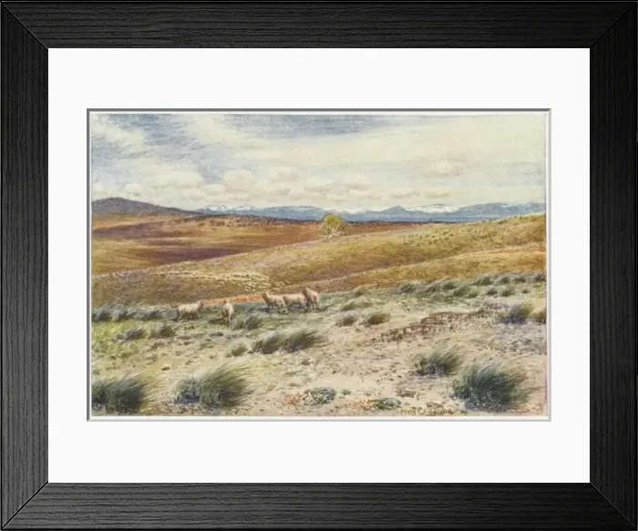Framed Print : Snowy Mts Australia Framed Print : Snowy Mts Australia