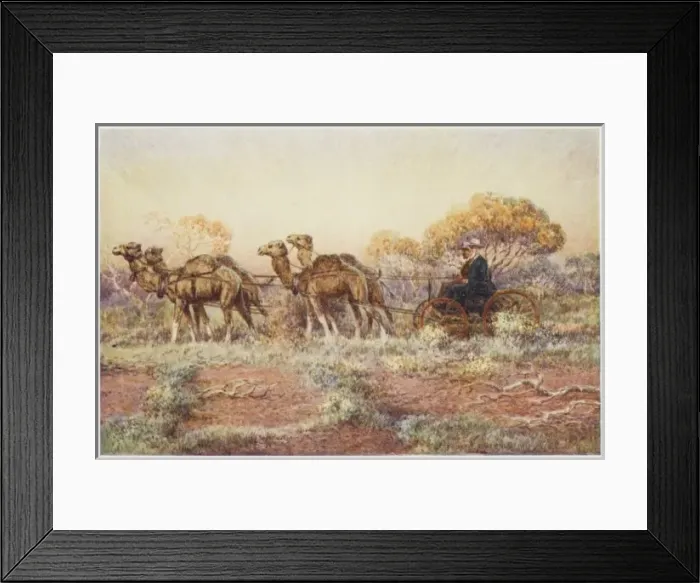 Framed Print : Surveying Aussie Rail Framed Print : Surveying Aussie Rail