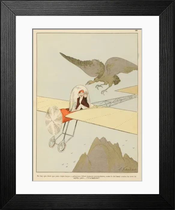 Framed Print : Sharing the Airspace Framed Print : Sharing the Airspace