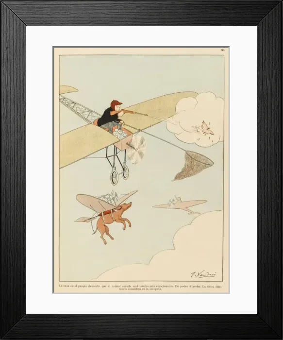 Framed Print : Hunting from the Air Framed Print : Hunting from the Air