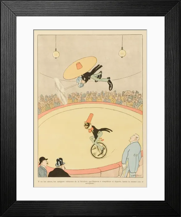 Framed Print : Aerial Acrobatics Framed Print : Aerial Acrobatics