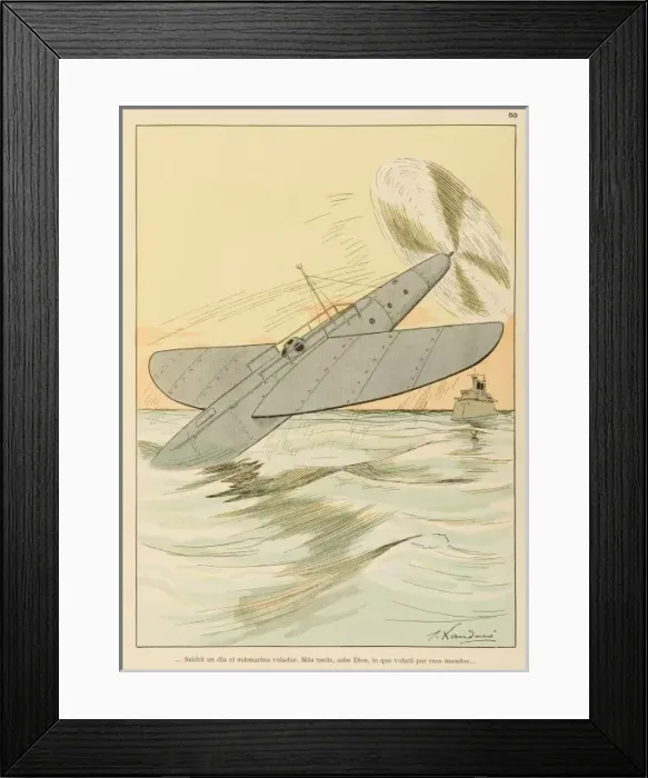 Framed Print : Learn from Flying Fish 2 Framed Print : Learn from Flying Fish 2