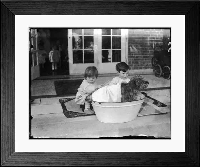 Framed Print : Bathing the Dog Framed Print : Bathing the Dog