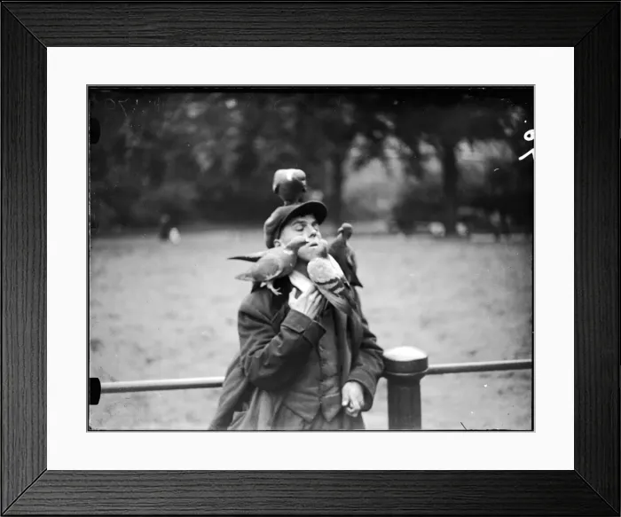 Framed Print : Boy & Pigeons Framed Print : Boy & Pigeons