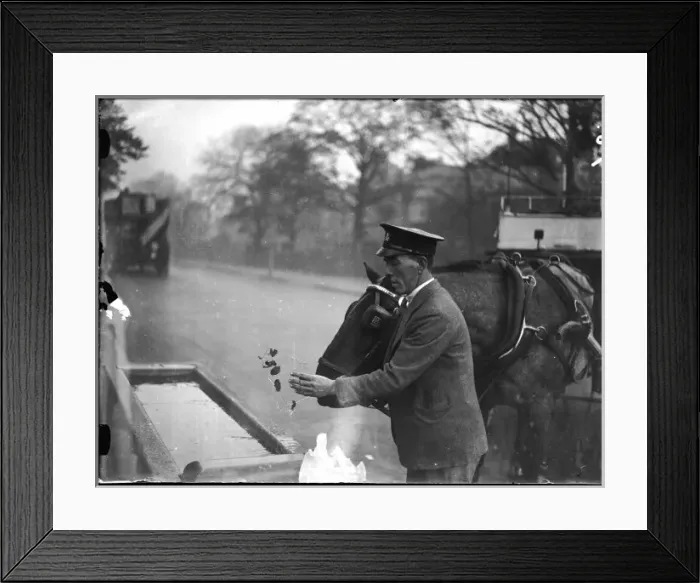 Framed Print : Frozen Horse Trough Framed Print : Frozen Horse Trough