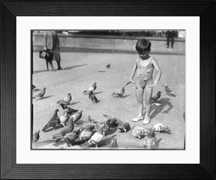 Framed Print : Boy with Pigeons Framed Print : Boy with Pigeons