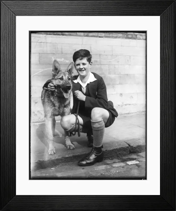 Framed Print : Boy & German Shepherd Framed Print : Boy & German Shepherd