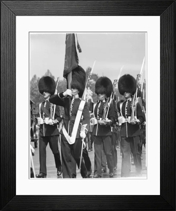 Framed Print : Guards Wearing Busbys Framed Print : Guards Wearing Busbys