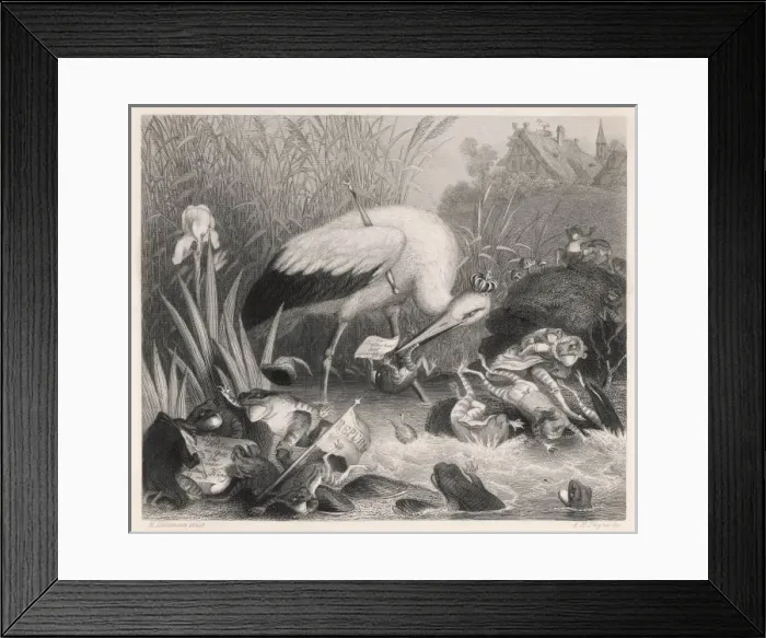 Framed Print : Fable / King Stork & Frogs Framed Print : Fable / King Stork & Frogs