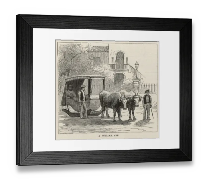 Framed Print : A Bullock Car Framed Print : A Bullock Car