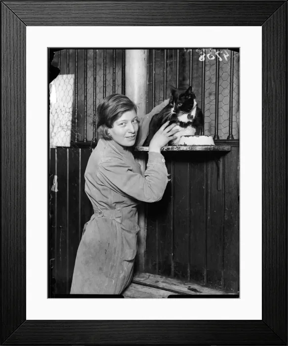 Framed Print : Cat in a Hostel Framed Print : Cat in a Hostel