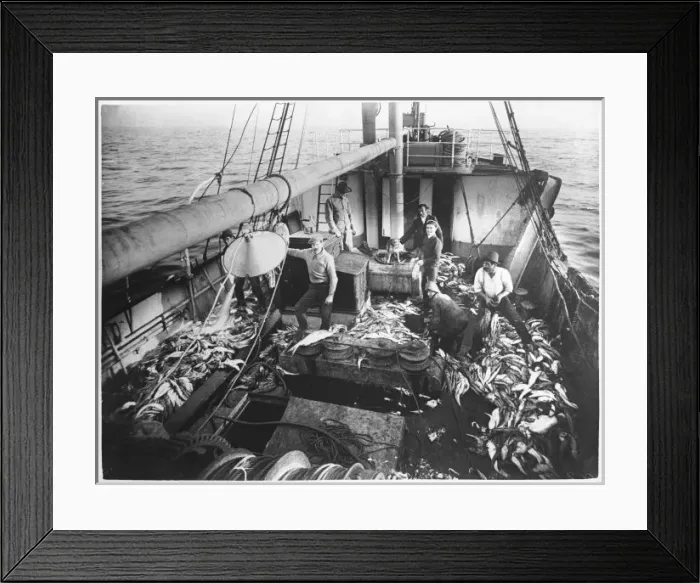 Framed Print : Australian Trawler Framed Print : Australian Trawler