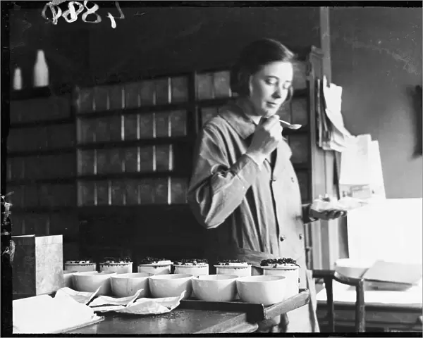Tea Tasting 1930S