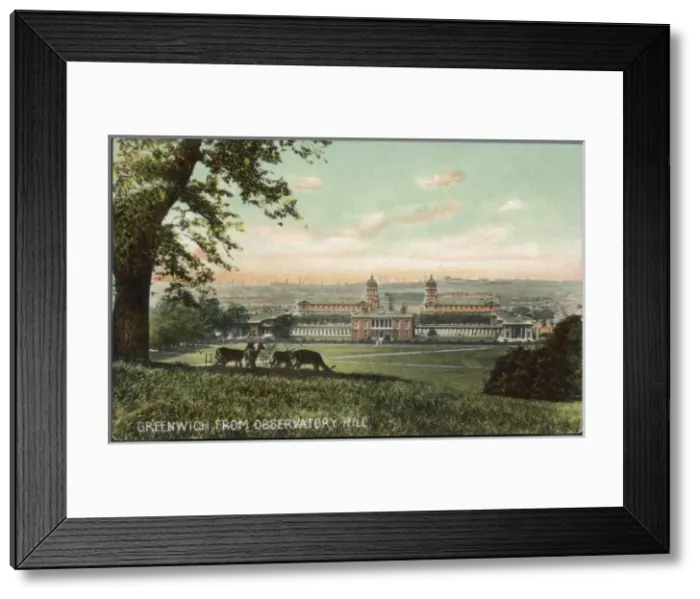 Framed Print : Deer on Observatory Hill Framed Print : Deer on Observatory Hill