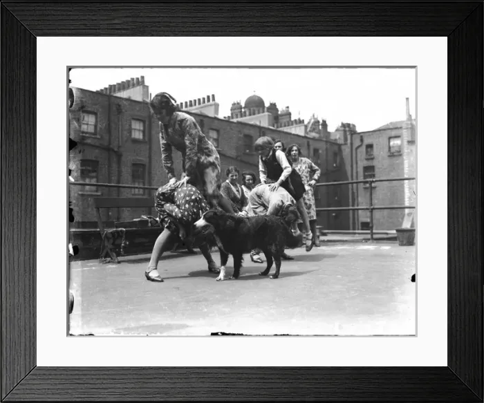 Framed Print : Leapfrog on the Roof Framed Print : Leapfrog on the Roof