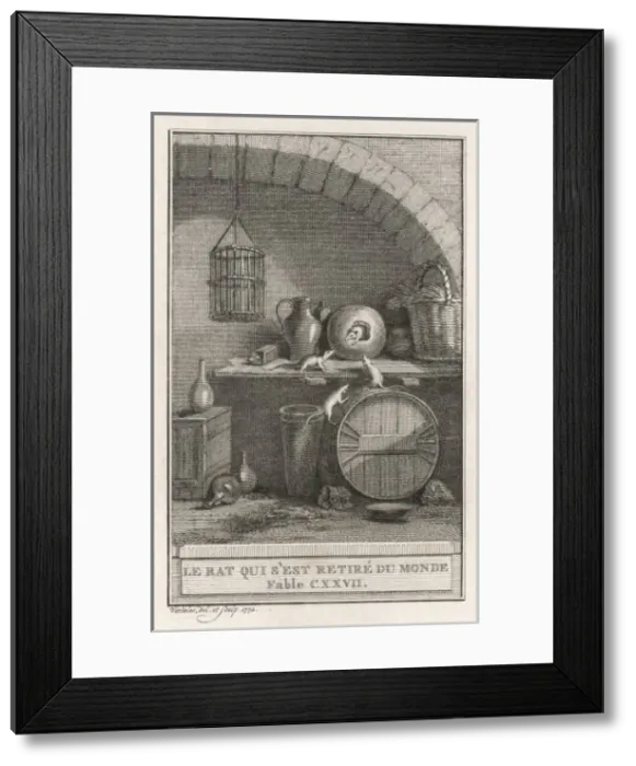 Framed Print : Rat Retired from World Framed Print : Rat Retired from World