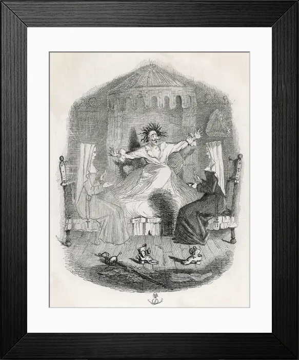 Framed Print : The Black Mousquetaire Framed Print : The Black Mousquetaire