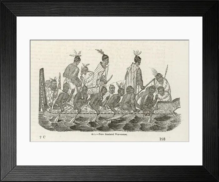 Framed Print : New Zealand War Canoe Framed Print : New Zealand War Canoe