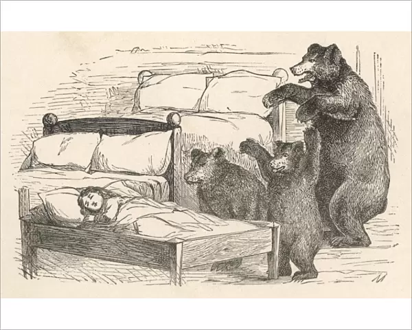 Bears Find Goldilocks