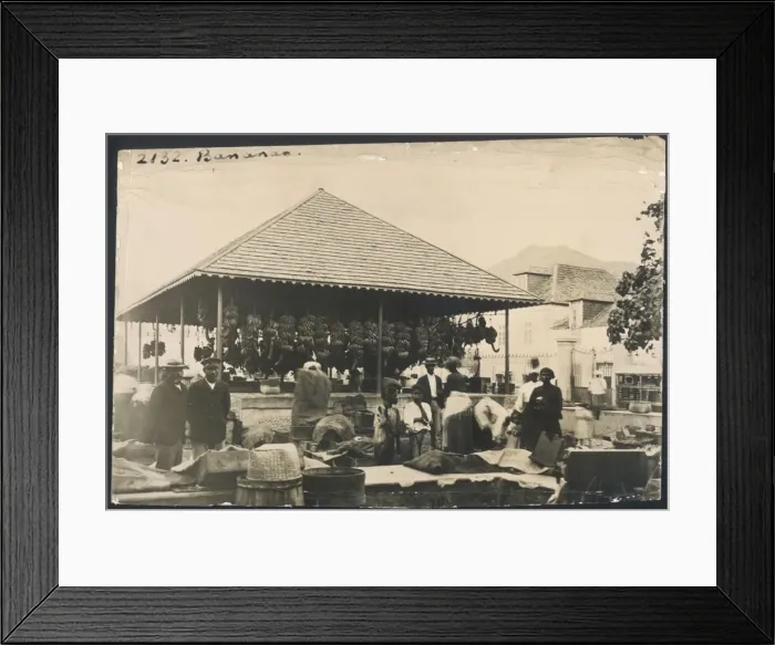 Framed Print : African Banana Market Framed Print : African Banana Market