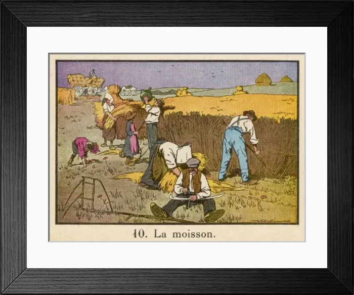 Framed Print : Haymaking, France C1920 Framed Print : Haymaking, France C1920