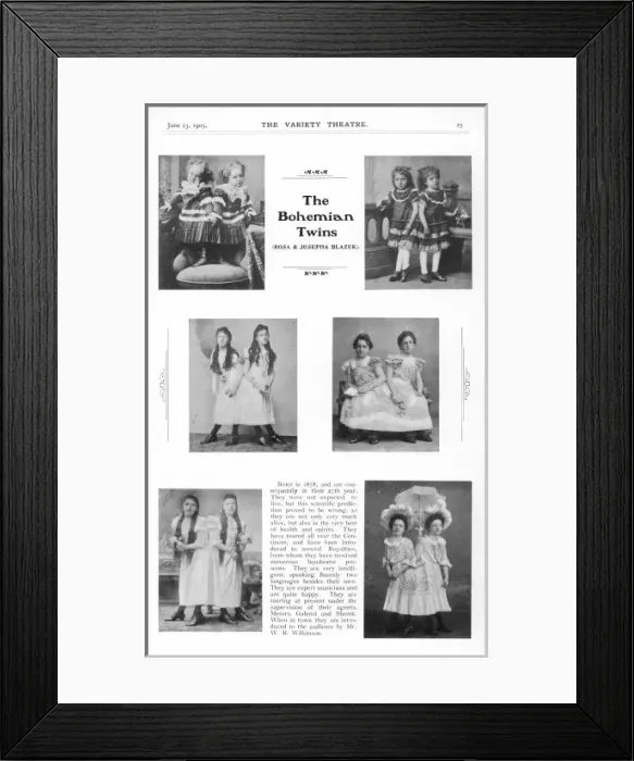 Framed Print : Bohemian Siamese Twins Framed Print : Bohemian Siamese Twins