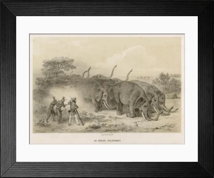 Framed Print : African Elephant Herd Framed Print : African Elephant Herd