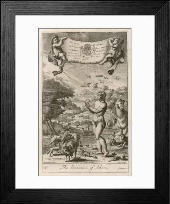Framed Print : Creation of Adam Framed Print : Creation of Adam