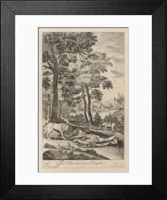 Framed Print : Disobedient Prophet Framed Print : Disobedient Prophet