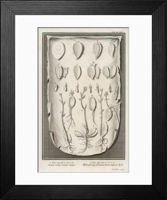 Framed Print : Except it Die Framed Print : Except it Die