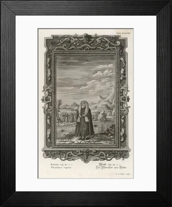 Framed Print : Generation of Vipers Framed Print : Generation of Vipers