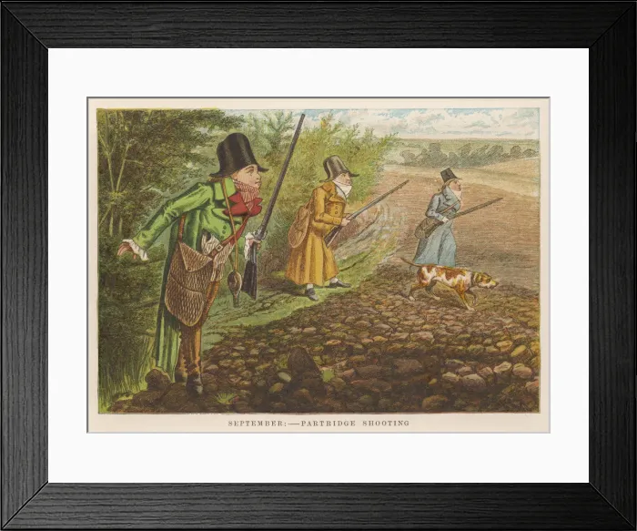 Framed Print : Partridge Shooting Framed Print : Partridge Shooting