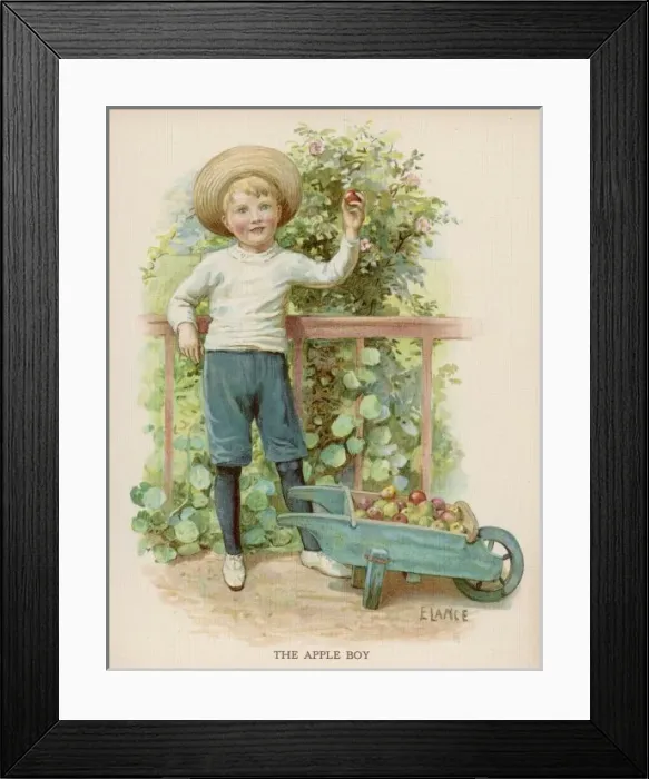 Framed Print : Boy Picking Apples Framed Print : Boy Picking Apples