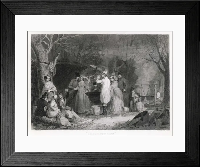 Framed Print : Maple Sugar Harvest Framed Print : Maple Sugar Harvest