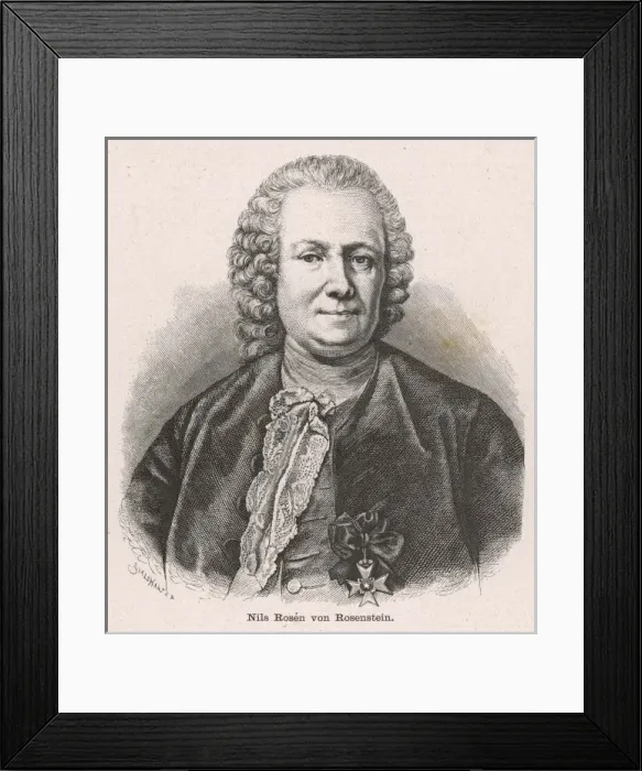 Framed Print : Nils Von Rosenstein Framed Print : Nils Von Rosenstein