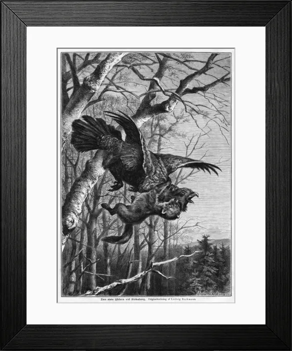 Framed Print : Bird and Predator Framed Print : Bird and Predator