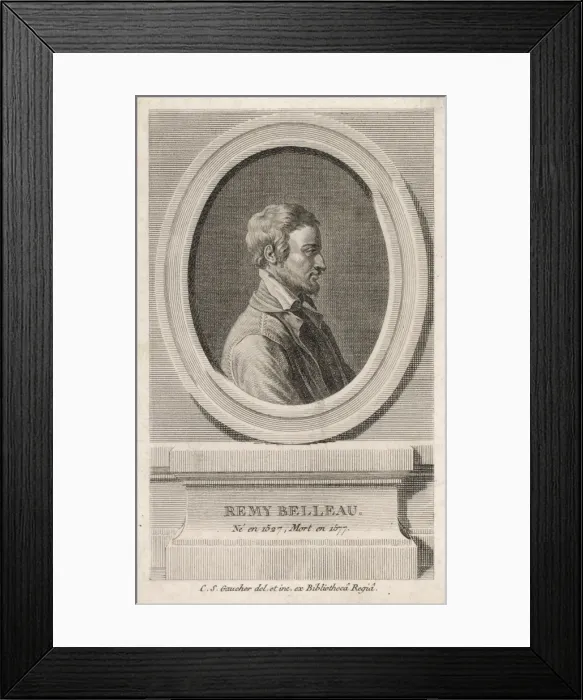 Framed Print : Remy Belleau Framed Print : Remy Belleau