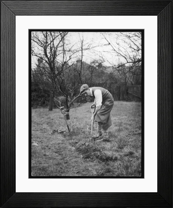 Framed Print : Digging for Victory Framed Print : Digging for Victory