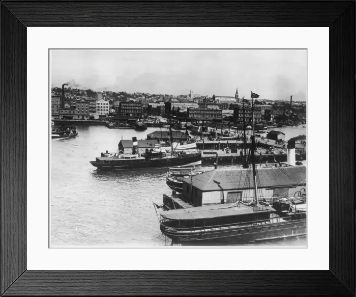 Framed Print : Auckland, New Zealand Framed Print : Auckland, New Zealand