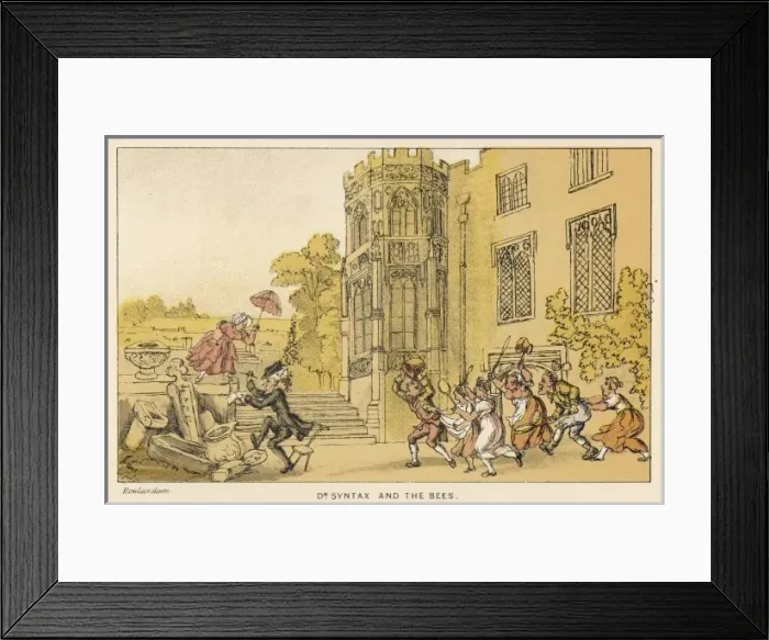 Framed Print : Dr Syntax / Bees / 2nd Tour Framed Print : Dr Syntax / Bees / 2nd Tour