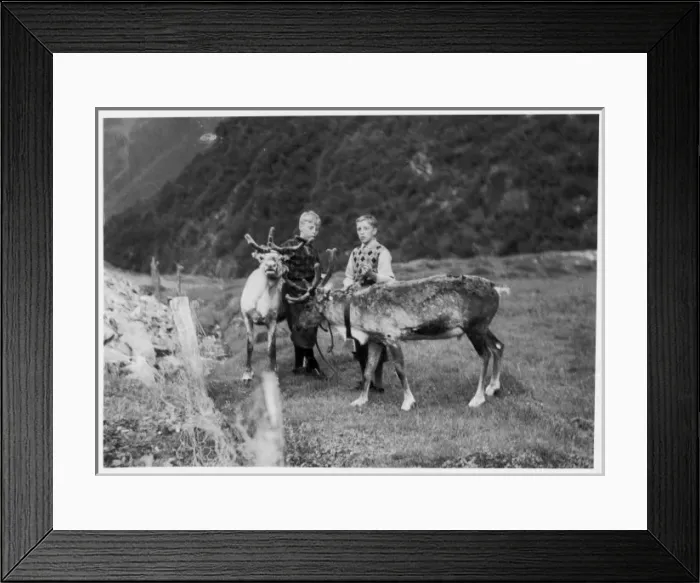 Framed Print : Lapland Boys & Reindeer Framed Print : Lapland Boys & Reindeer