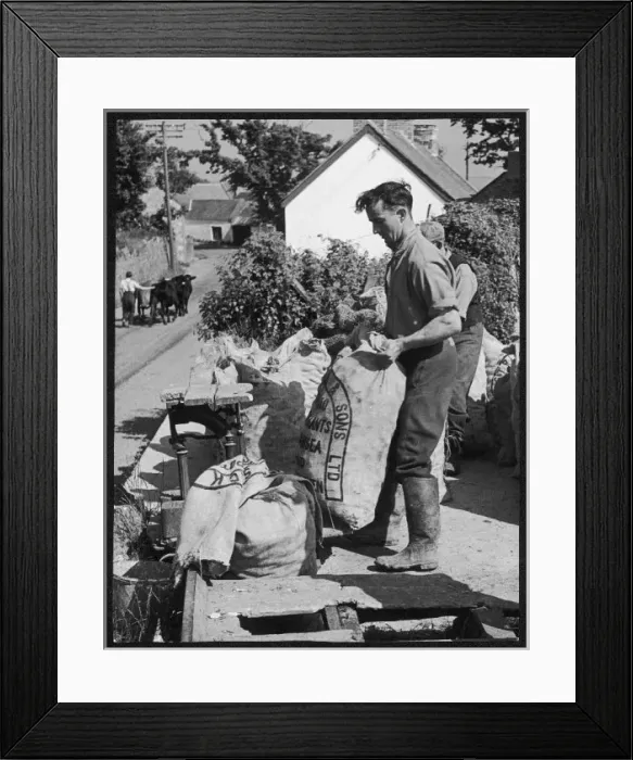 Framed Print : Welsh Potato Sacks Framed Print : Welsh Potato Sacks