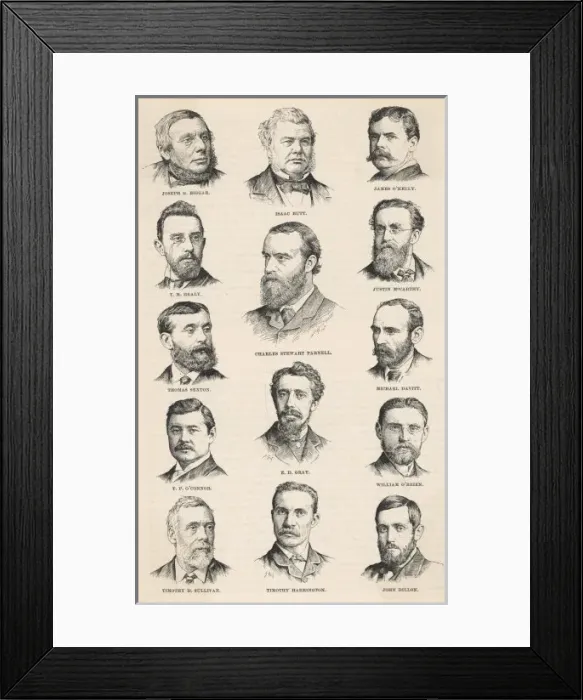 Framed Print : Parliamentary Party / 1887 Framed Print : Parliamentary Party / 1887