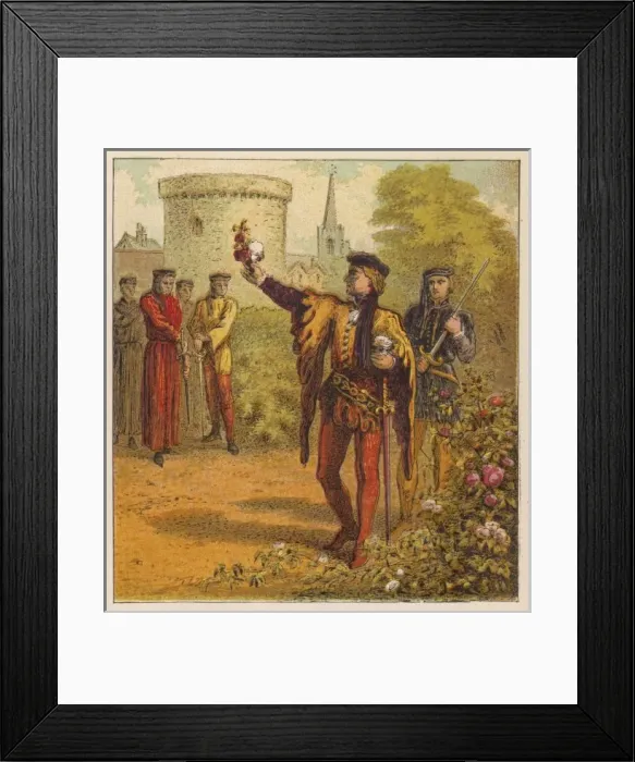 Framed Print : York & Lancaster Houses Framed Print : York & Lancaster Houses